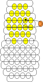 chick in egg