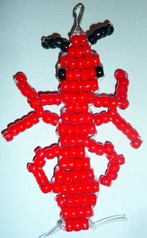 red ant pic