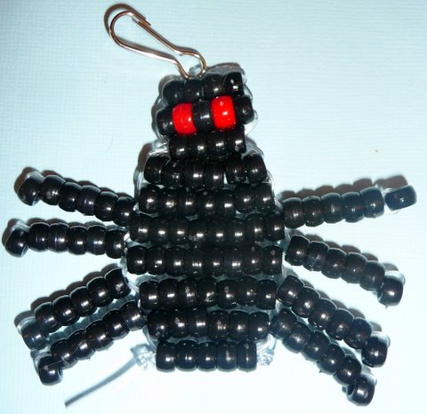 spider4 pic