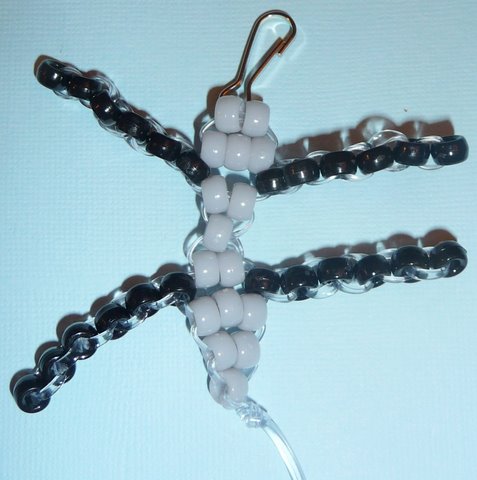 spider3pic