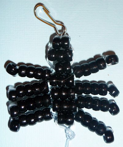 spider1pic