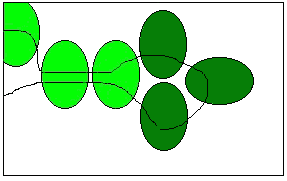 gecko2.jpg (15469 bytes)
